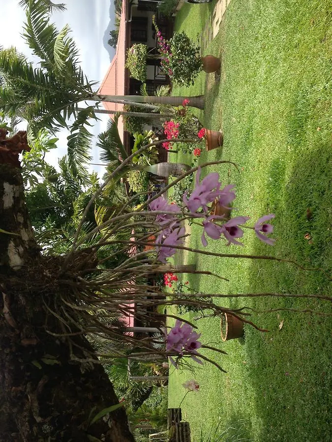 Le Bungalow Des Bougainvilliers Ducos Guest house